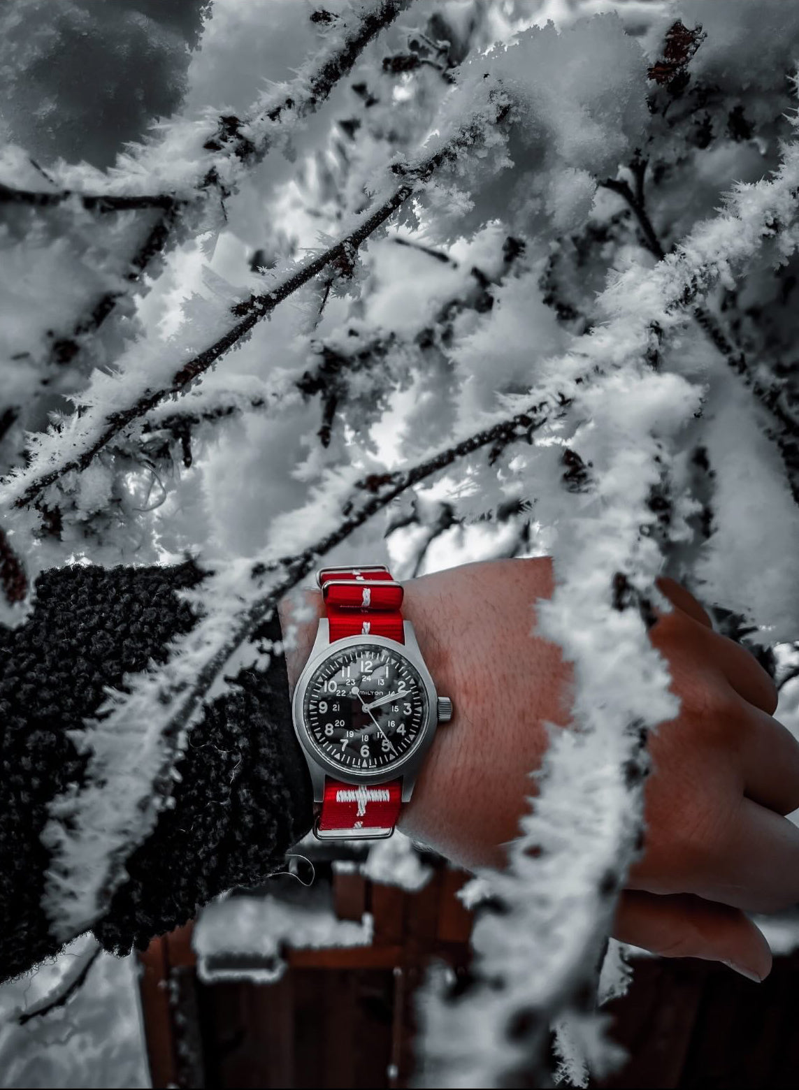 NATO Strap 20MM Rød/hvite kryss (Sveits)